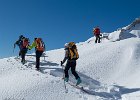 IMG 3137