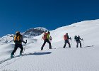 IMG 3141