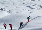 IMG 3146