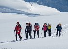 IMG 3175