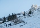 IMG 3726