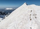 IMG 3809
