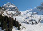 IMG 3911