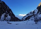 IMG-20210307-WA0005