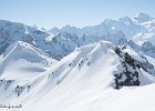 IMG 0046