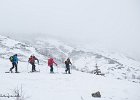 IMG 0244
