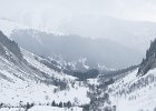 IMG 0248