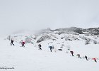 IMG 0250