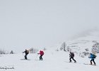 IMG 0251