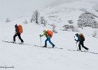 IMG 0252