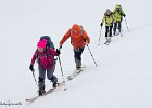 IMG 0253