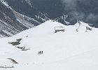 IMG 0258
