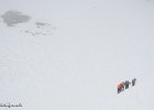 IMG 0259