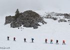 IMG 0260