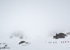 IMG 0261