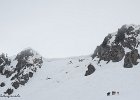IMG 0264