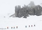 IMG 0267