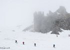 IMG 0269