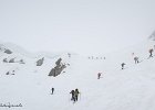 IMG 0273