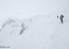 IMG 0274