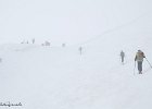 IMG 0276