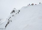 IMG 0281