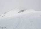 IMG 0285