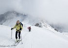 IMG 0290
