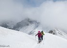 IMG 0293