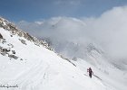 IMG 0303