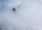 IMG 0305