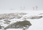 IMG 0306