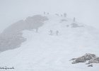 IMG 0308