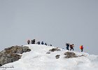 IMG 0313