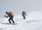 IMG 0322