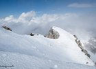 IMG 0328