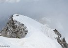 IMG 0331
