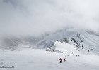 IMG 0333
