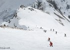 IMG 0334