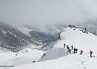 IMG 0335