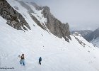 IMG 0339