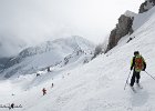 IMG 0345
