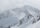 IMG 0347