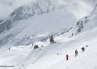 IMG 0348