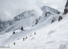 IMG 0350
