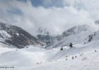IMG 0351