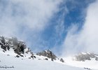 IMG 0352