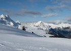 IMG 0357