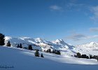 IMG 0360