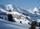 IMG 0362